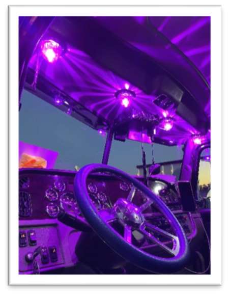 1157-purple_1024x1024.jpg?v=