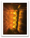JML 1157 Amber 15 LED Super Bright Bulb