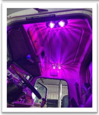 JML 1156 Purple 15 LED Super Bright Bulb – Truck Town, LLC