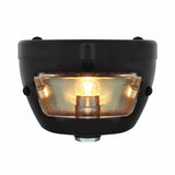 "DUO Lamp" Motorcycle Rear Fender Tail Light w/Red Glass Lens & Blue Dot