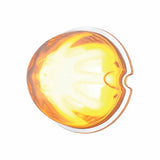 9 LED Dual Function “Glo” Watermelon Light - Amber LED/Clear Lens