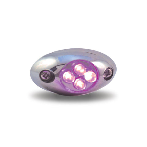 Purple Courtesy LED